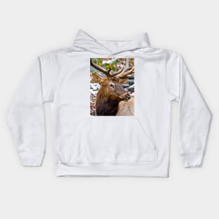 Red Deer Kids Hoodie